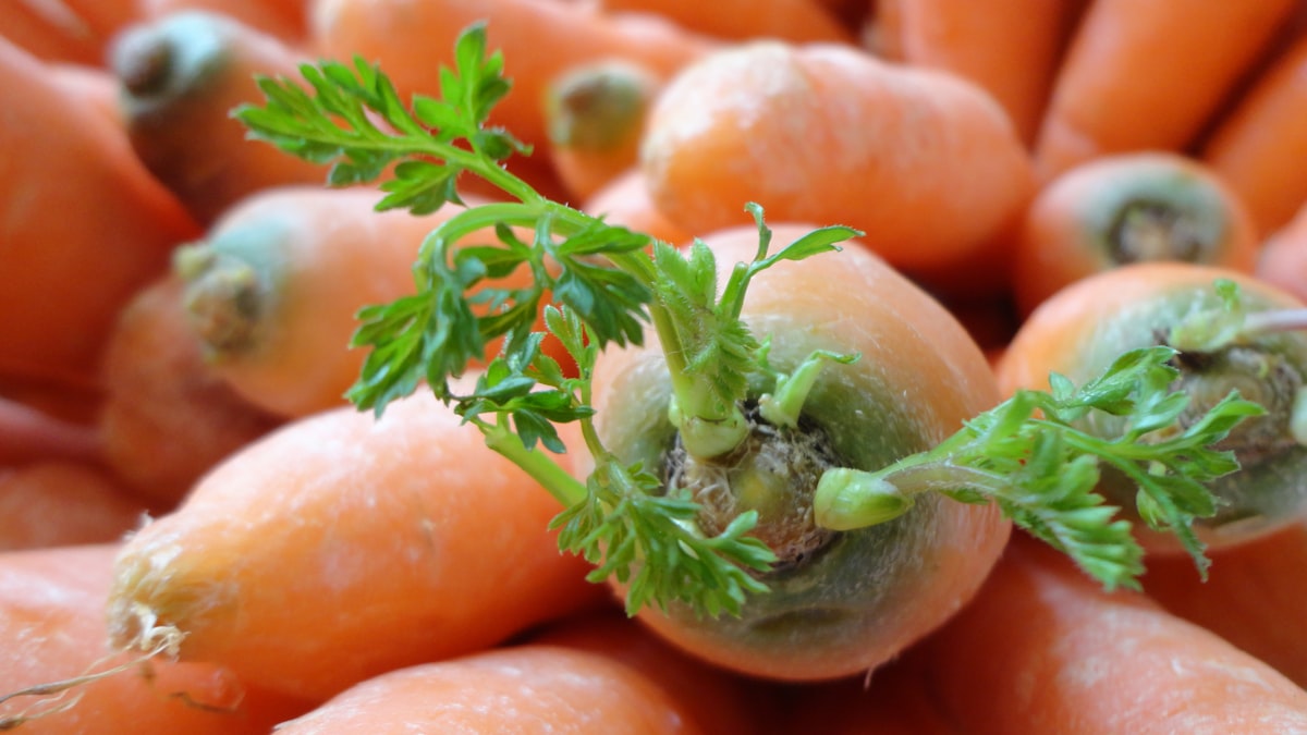 Seasonal Produce and Eyes