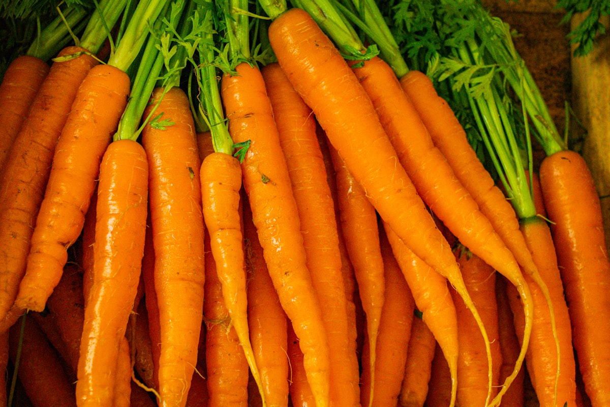 Variety of nutrient-dense foods for eye health and wellness